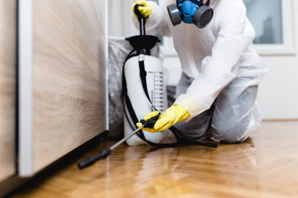 Best Local Pest Control Services  in Lakeview Estates, GA